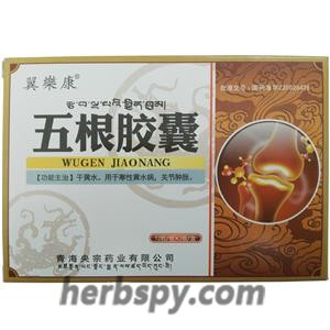 Wugen Jiaonang for swollen joints or urticaria or visceral abscess
